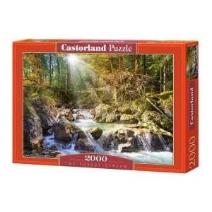 Castorland Puzzle 2000 Brook in the forest CASTOR