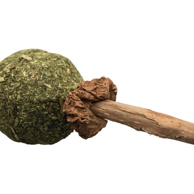 Trixie Kousací lízátko MATATABI přírodní produkt 11 cm