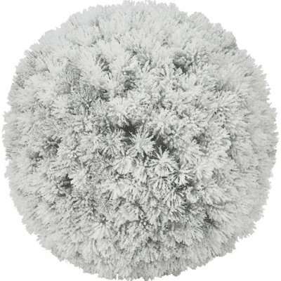 Koule z borovice, zasněžená, 30 cm