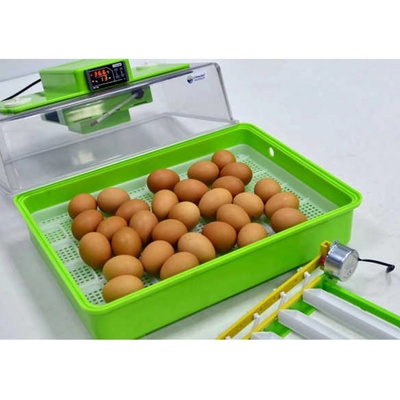 CIMUKA PD30SH AUTOMATIC liaheň