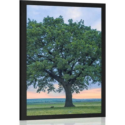 Plakát osamělý dub - 20x30 silver