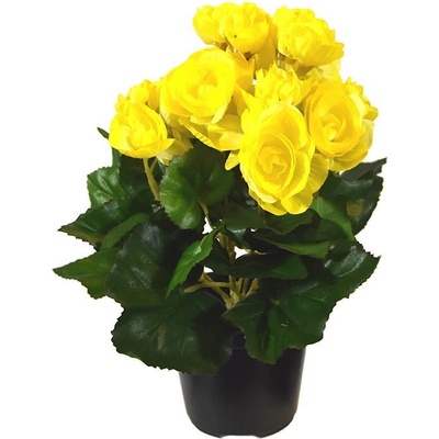 MF Umělá rostlina Begonie v květináči (20cm) - žlutá