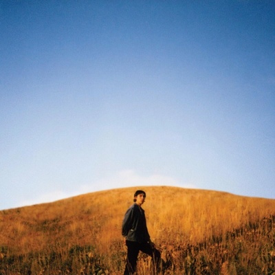Dear Departed - Sam Burton LP