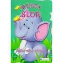 Múdry slon
