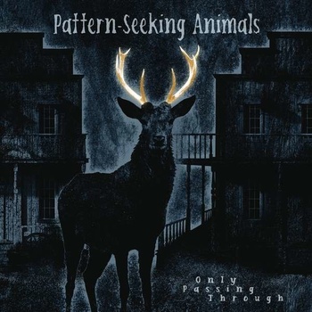 PATTERN-SEEKING ANIMALS - Only Passing Through LP