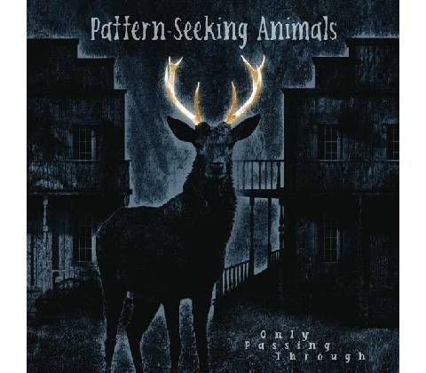 PATTERN-SEEKING ANIMALS - Only Passing Through LP