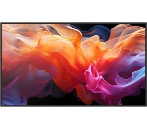 Sharp MultiSync E869