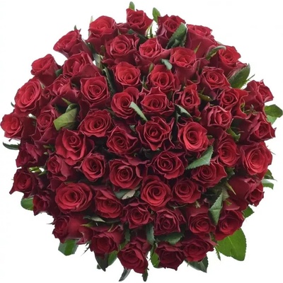 Kytice 55 červených růží Red Tacazzi+ 40cm