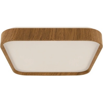 IDEUS 04162