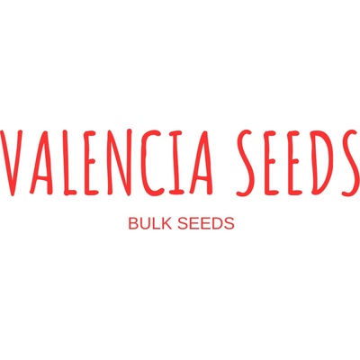 Valencia Seeds Zerberry Triploid semienka neobsahujú THC 100 ks