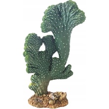 Hobby Kaktus Victoria 2 22 cm