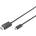 ASSMANN AK-300330-020-S адаптер за видео кабел 2 м UBS тип C DisplayPort Черен (AK-300330-020-S)