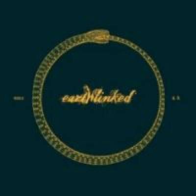 FDK - EARTHLINKED