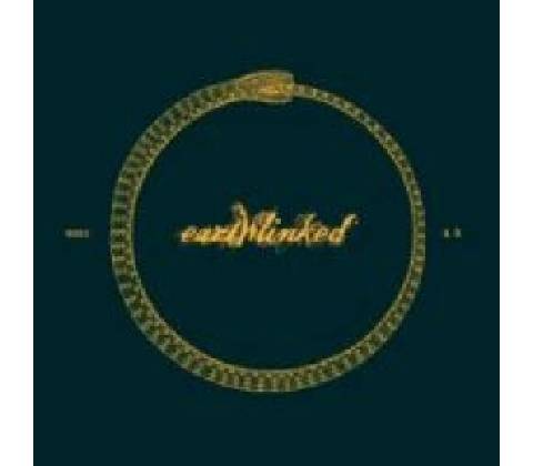 FDK - EARTHLINKED