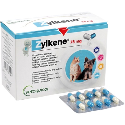 Jak vybrat vitamín a doplněk stravy pro psa?