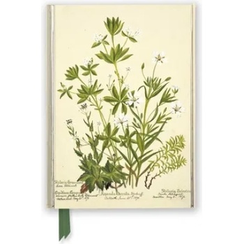 Flame Tree Publishing RBGE: Charlotte Cowan Pearson: Stitchworts, Woodruff and Pepperwort (Foiled Journal) | Flame Tree Studio