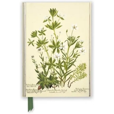 Flame Tree Publishing RBGE: Charlotte Cowan Pearson: Stitchworts, Woodruff and Pepperwort (Foiled Journal) | Flame Tree Studio