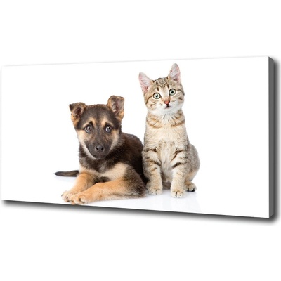 Foto obraz na plátne Pes a mačka 100x50 cm
