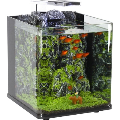 Invital Nano LED 20 l