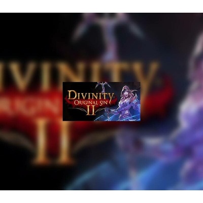 Divinity: Original Sin 2 - Divine Ascension