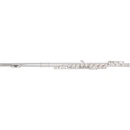 Bacio Instruments BFL-150C