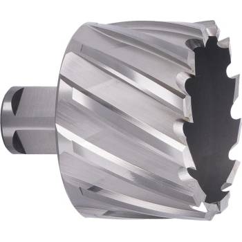 ABSE N-HS-W19-0580025
