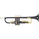 Roy Benson TR-101K