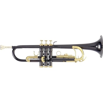 Roy Benson TR-101K