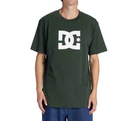 DC Star sycamore