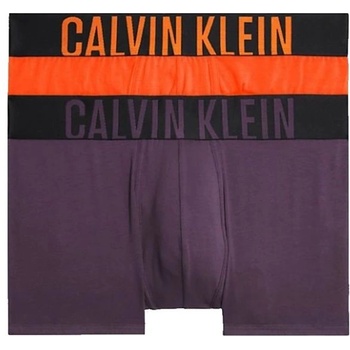 Calvin Klein Мъжки боксерки Calvin Klein Intense Power Trunk Shorty 2P - Многоцветен