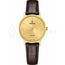 Festina 20017/2