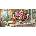 Castorland - Puzzle Summer Flowers and Cup of Tea - 4 000 piese
