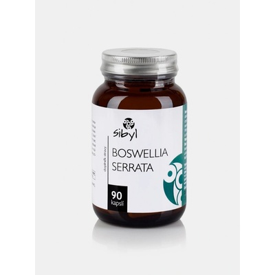 Sibyl Boswellia serrata 400 mg Pryskyřice kadidlovníku 90 kapslí