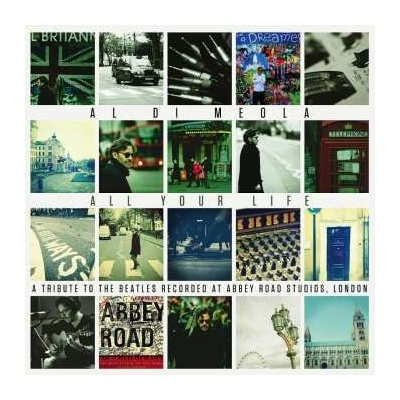 AL DI MEOLA - ALL YOUR LIFE: A TRIBUTE T LP