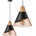 Toolight APP225-1CP