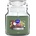 BISPOL Ароматна свещ Bispol Aura - Winter Tree, 120 g (snd71-348)
