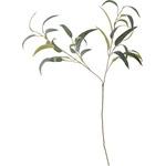 Bloomingville Изкуствен евкалипт (височина 101 cm) - Bloomingville (82061519)