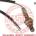 Lambda sonda MASTER-SPORT GERMANY USL-02-PCS-MS