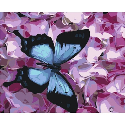 MALUJEŠ Malování podle čísel MODRÝ MOTÝL A KVÍTKA Rozměr 40 x 50 cm Rámování vypnuté plátno na rám