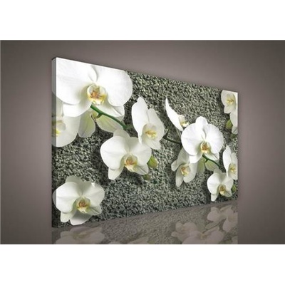 Obraz na plátně bílá orchidej na kameni 413O1, 100 x 75 cm, IMPOL TRADE