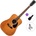 Pasadena PD-450 All Solid Standard SET Vintage Natural Акустична китара