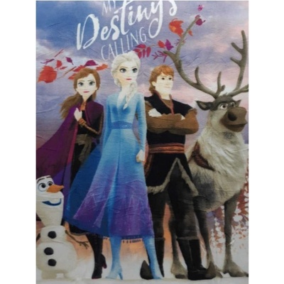 Setino Dievčenská fleecová deka Ľadové kráľovstvo Frozen