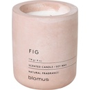 blomus Fraga Fig 6,5 cm