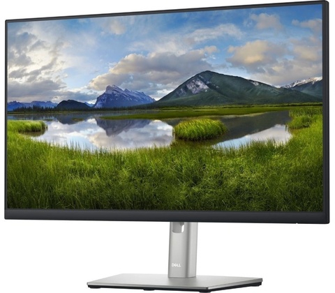 Dell P2422H
