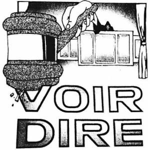 Earl Sweatshirt - Voir Dire (LP) (0093624849537)