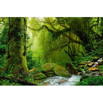 DIMEX ART s. r. o Флизелинов фототапет непалска джунгла 375 x 250 см
