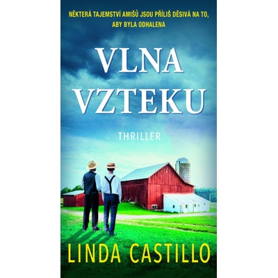 Vlna vzteku