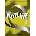 Hotline Pre-Intermediate New WB -
