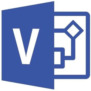 Microsoft Visio Professional 2021 (D87-07606)