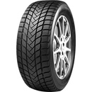 Mastersteel WINTPL1 215/55 R17 98H